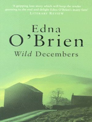 cover image of Wild Decembers